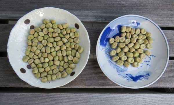 ツタンカーメン