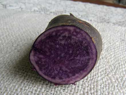 シャドークィーン