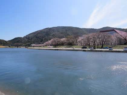 伊勢神宮（外宮）