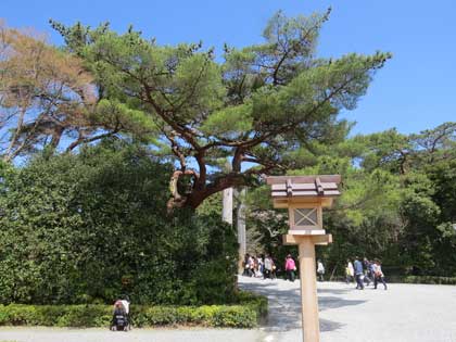 伊勢神宮（外宮）