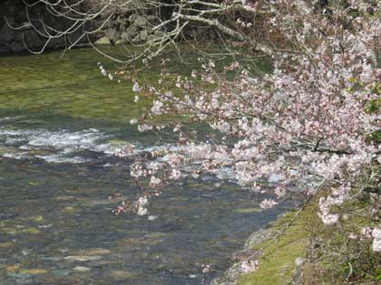 伊勢神宮（外宮）