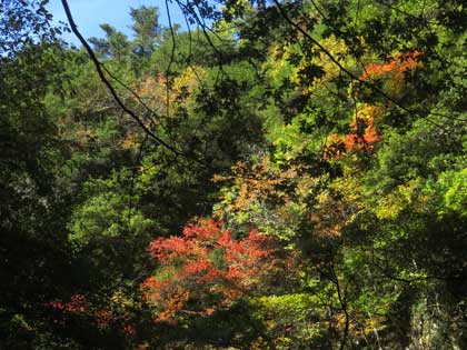 斜滝付近の紅葉