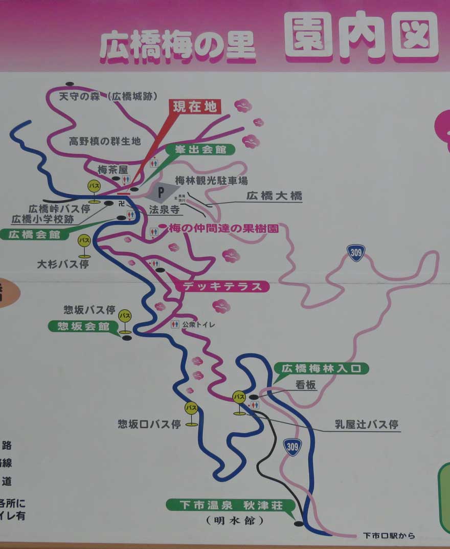 広橋梅林