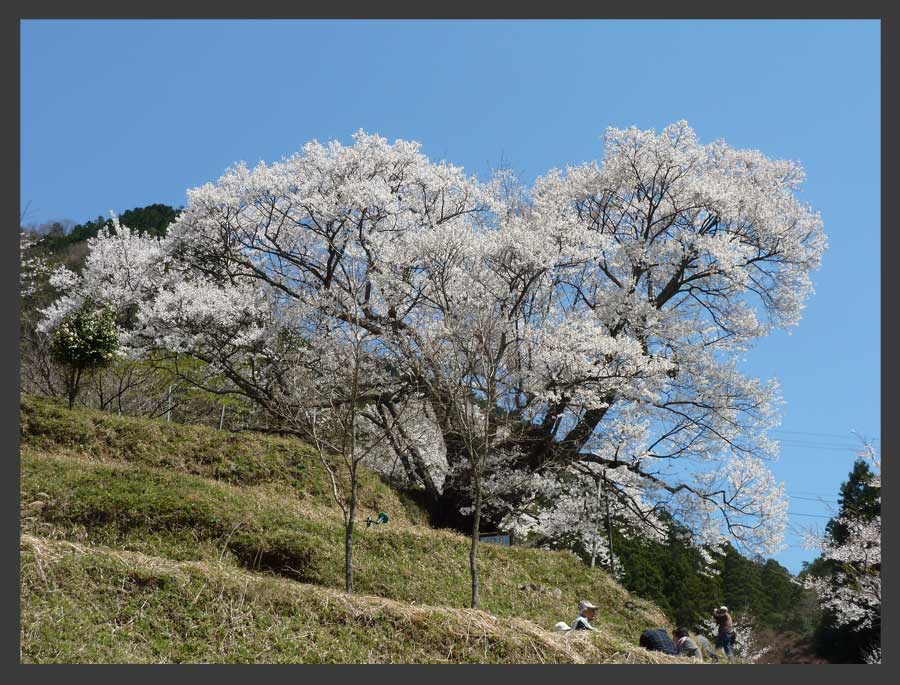 仏隆寺