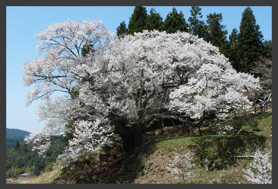 仏隆寺