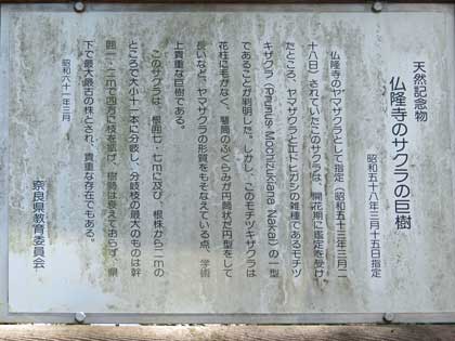仏隆寺