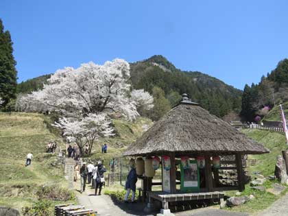 仏隆寺
