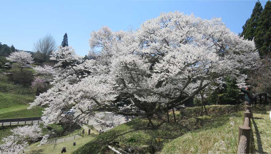 仏隆寺