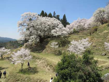 仏隆寺