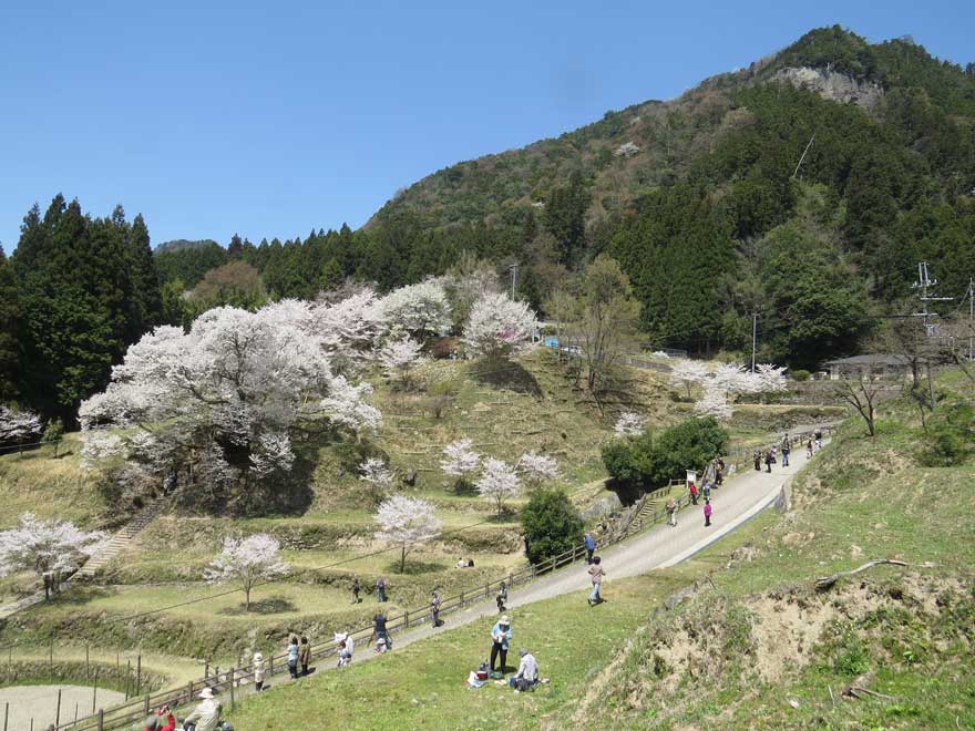 仏隆寺