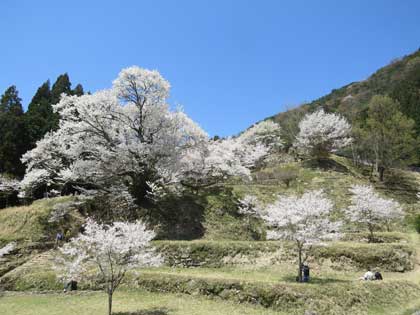 仏隆寺