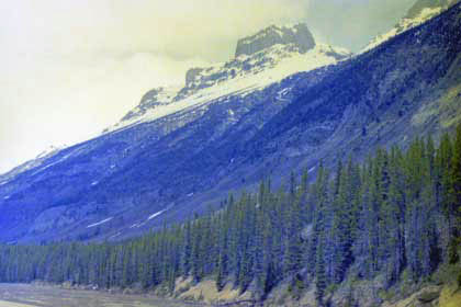 ジャスパー国立公園