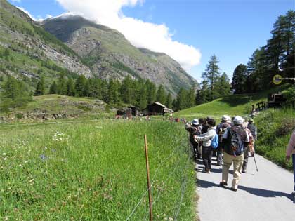 ゴルナーグラート