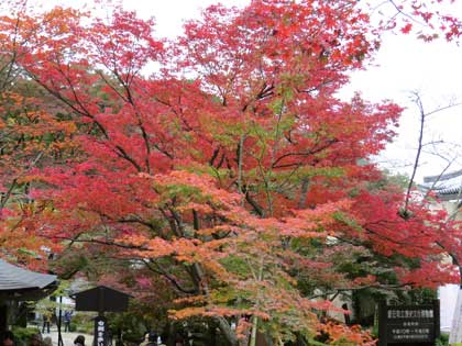 金剛輪寺