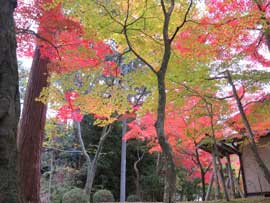 金剛輪寺