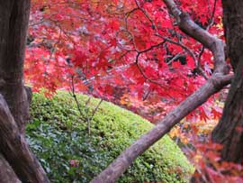 金剛輪寺