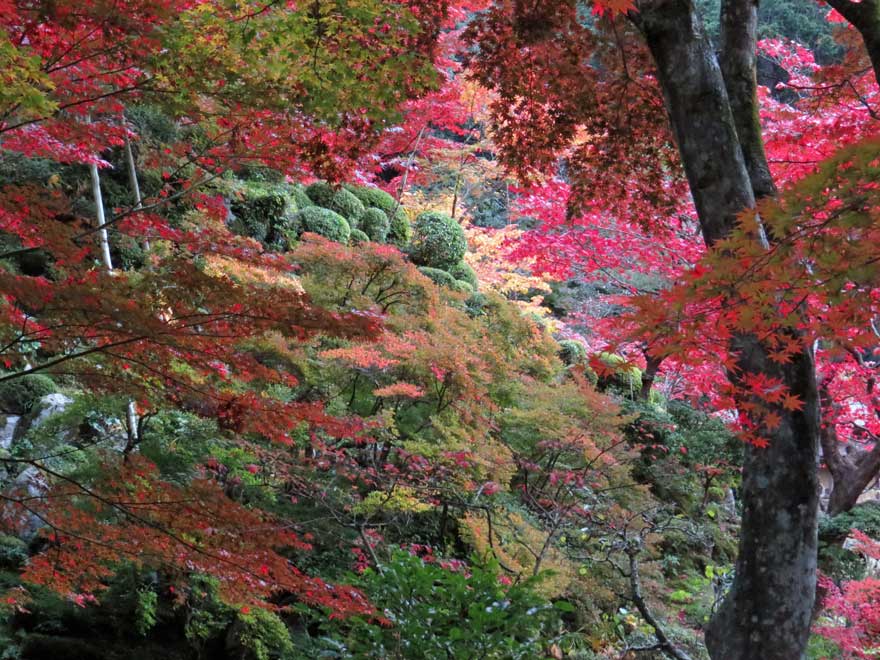 金剛輪寺