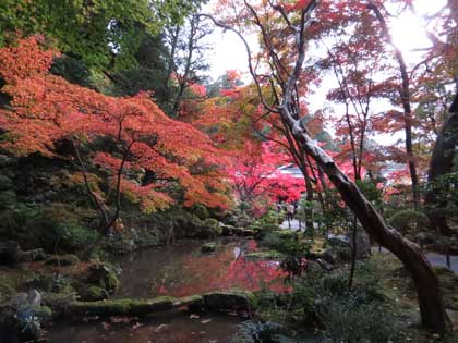 金剛輪寺