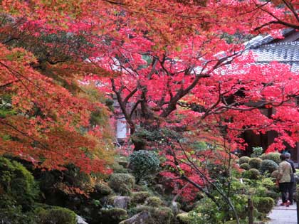 金剛輪寺