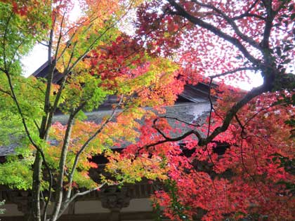 金剛輪寺